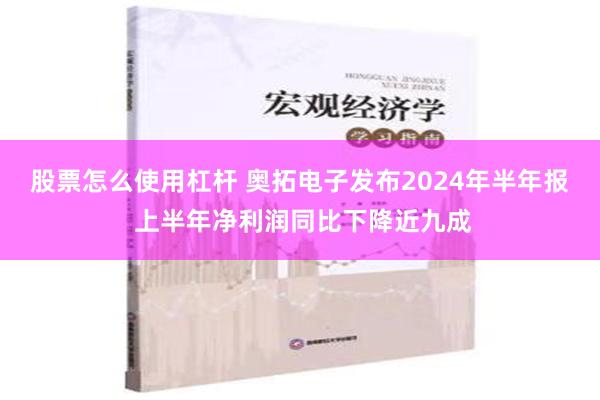 股票怎么使用杠杆 奥拓电子发布2024年半年报 上半年净利润同比下降近九成