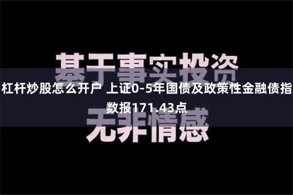 杠杆炒股怎么开户 上证0-5年国债及政策性金融债指数报171.43点