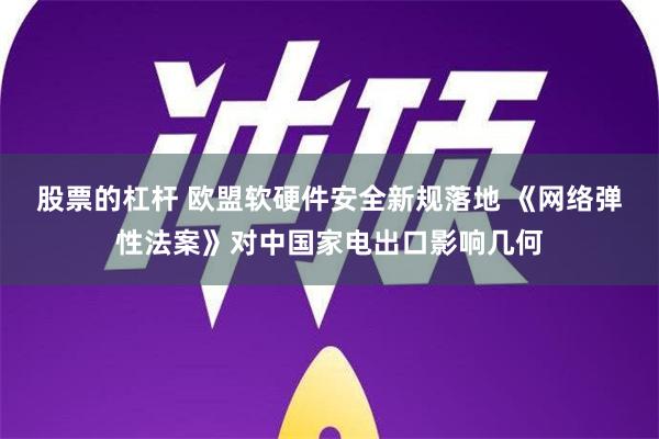 股票的杠杆 欧盟软硬件安全新规落地 《网络弹性法案》对中国家电出口影响几何