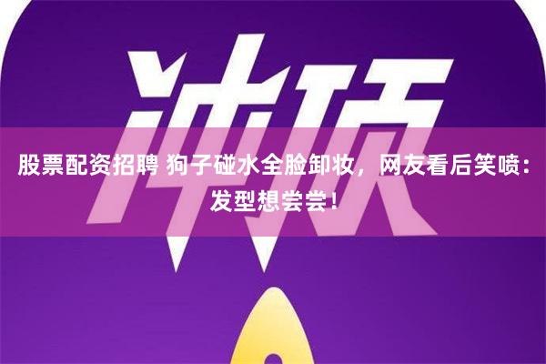 股票配资招聘 狗子碰水全脸卸妆，网友看后笑喷：发型想尝尝！