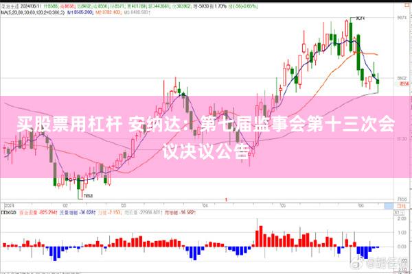 买股票用杠杆 安纳达：第七届监事会第十三次会议决议公告